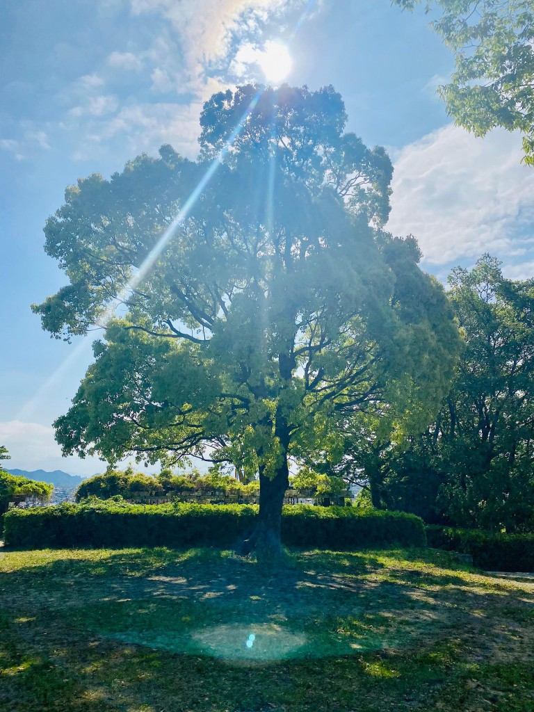 178090659_4038512642881412_3136957132515077828_n
