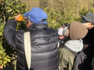 img_8641