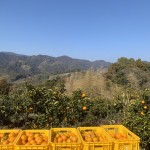 img_8448